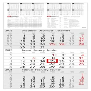 3 Month Calendar 2025 Wall Calendar with Slider - "INFO" Calendar 2025 Wall Calendar 30 x 50 cm Large - Office Calendar