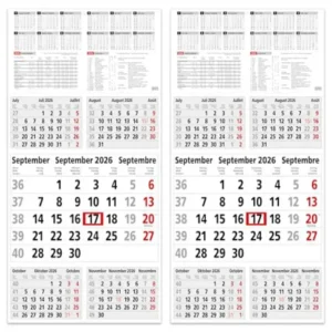 5 Month Calendar 2025 Wall Calendar with Slider - "INFO" Calendar 2025 Wall Calendar 30 x 56 cm Large - Office Calendar